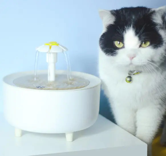Pets Water Fountain beside a cat, showcasing the automatic filter design for hydration.