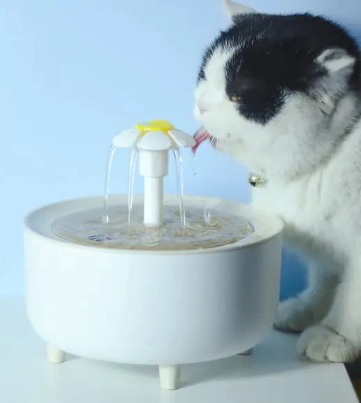 Pets Water Fountain with Auto Filter in use by a cat drinking fresh water from the automatic pet water dispenser.